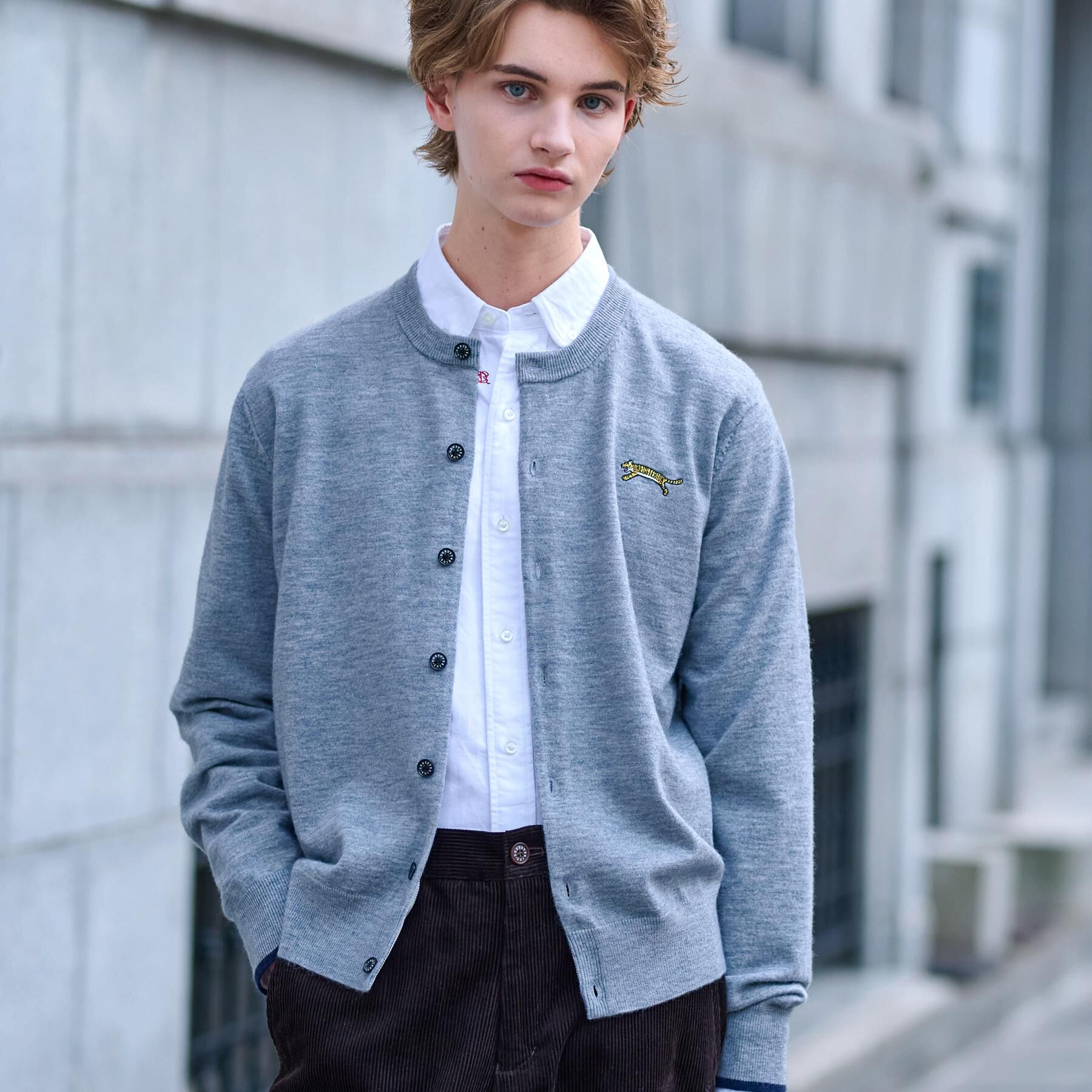 DRESSTERIOR「【Monomax11月号掲載】タイガーエンブロイダリー ラウンドネックカーディガン」|カーディガン|