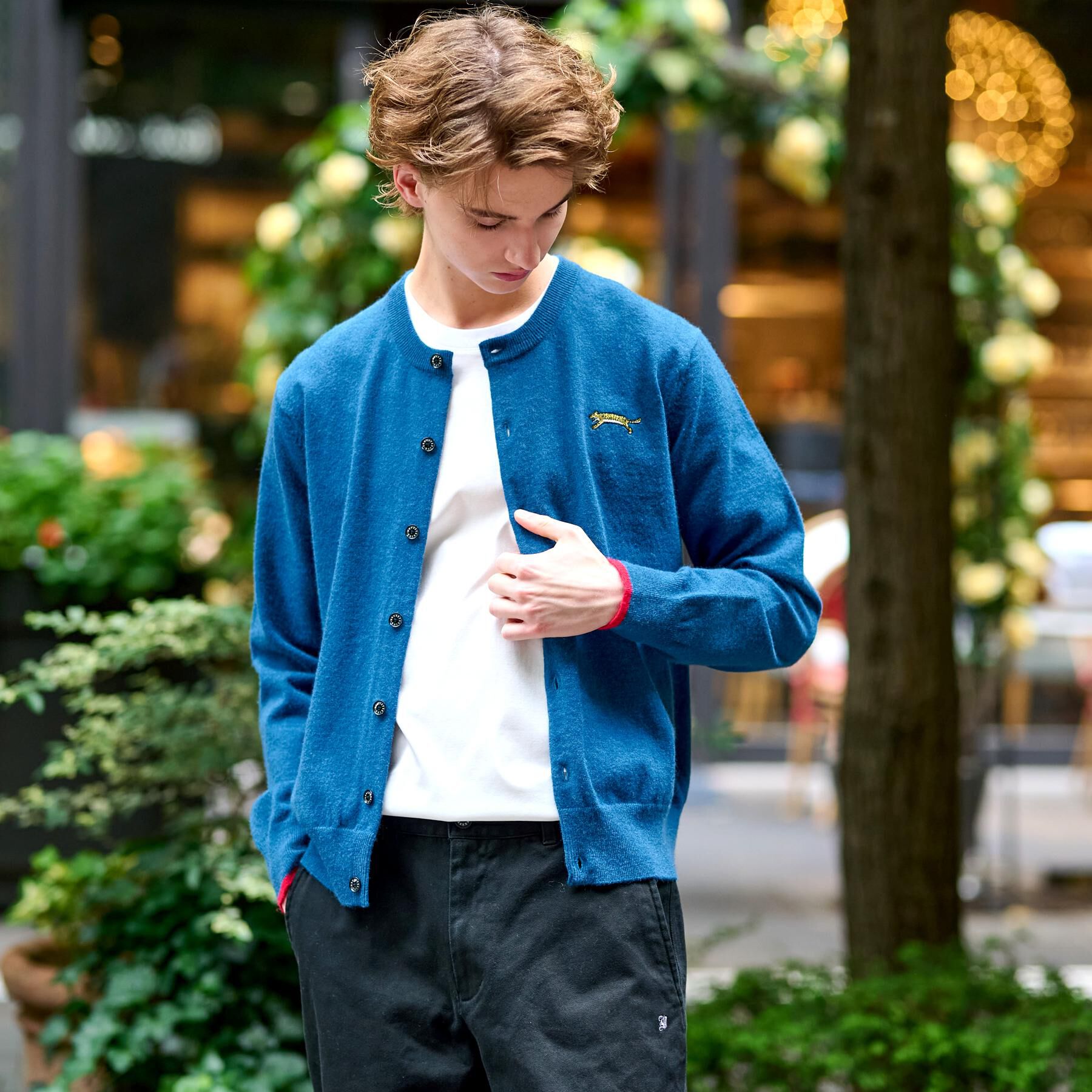 DRESSTERIOR「【Monomax11月号掲載】タイガーエンブロイダリー ラウンドネックカーディガン」|カーディガン|