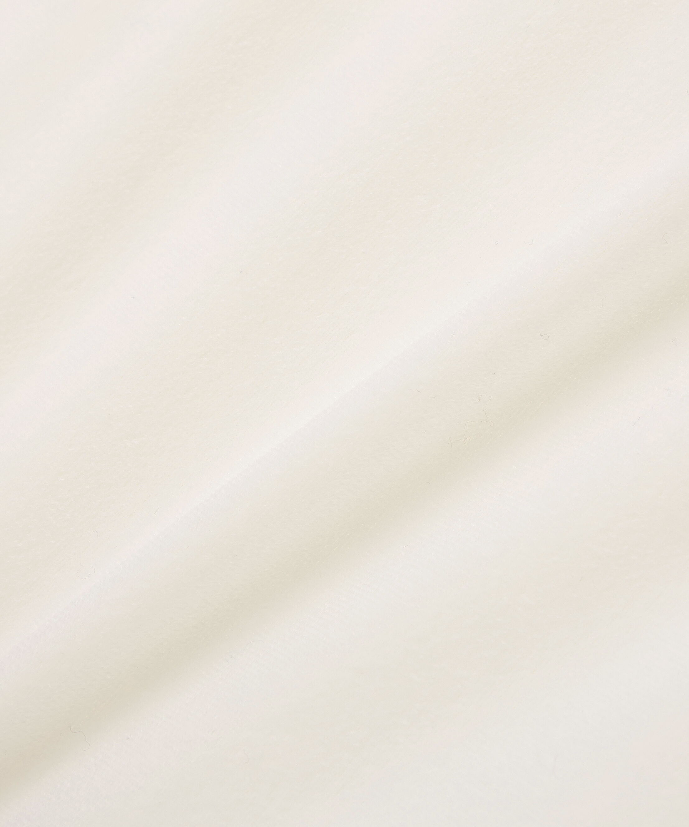  「ベロアボートネックカットソー」|Tシャツ・カットソー|