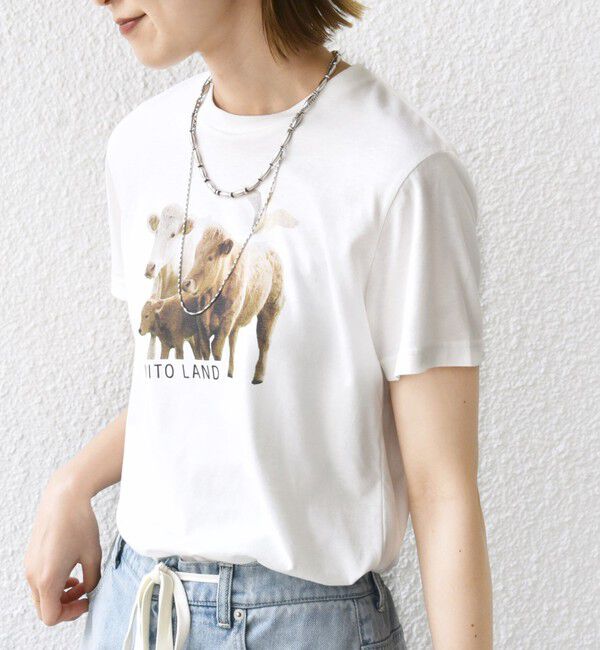 SHIPS for women「【SHIPS別注】ACASAM: フォト TEE」|Tシャツ・カットソー|