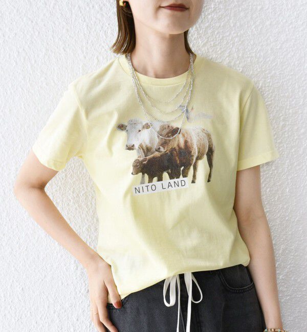 SHIPS for women「【SHIPS別注】ACASAM: フォト TEE」|Tシャツ・カットソー|イエロー