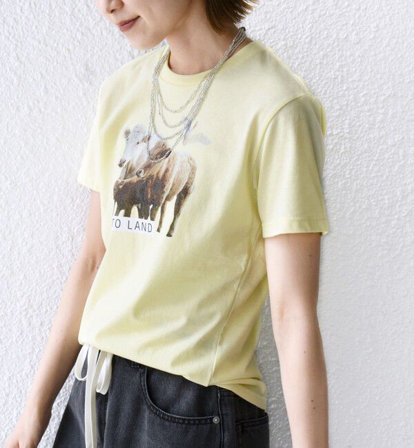 SHIPS for women「【SHIPS別注】ACASAM: フォト TEE」|Tシャツ・カットソー|