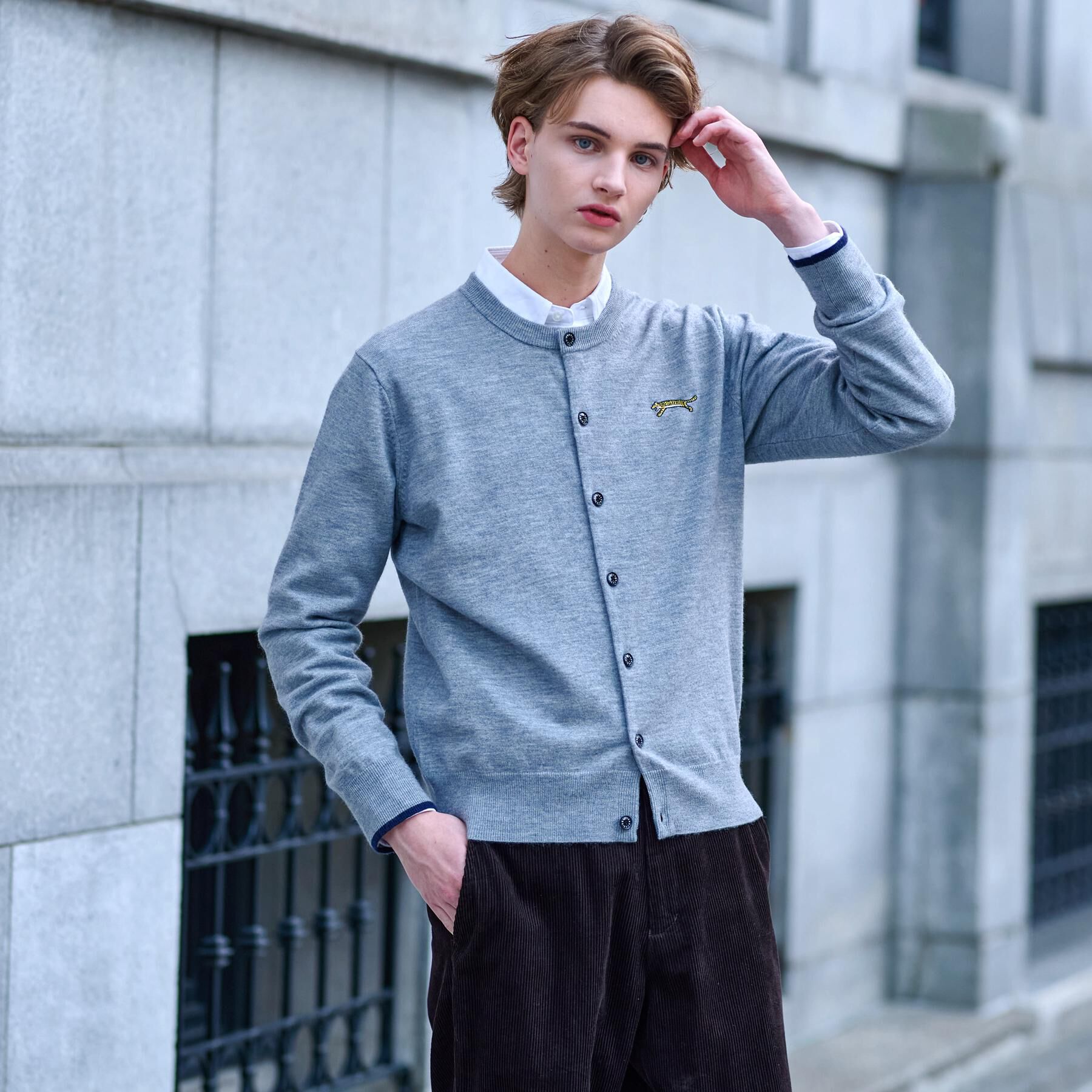 DRESSTERIOR「【Monomax11月号掲載】タイガーエンブロイダリー ラウンドネックカーディガン」|カーディガン|