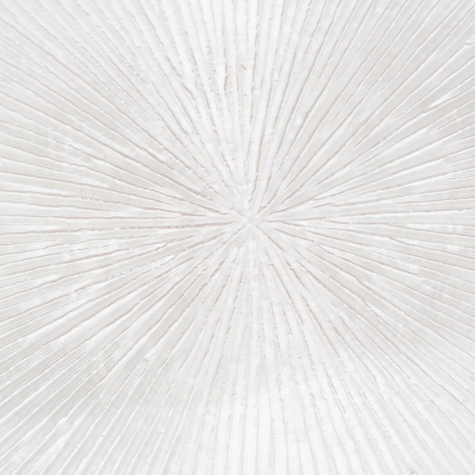 212 KITCHEN STORE「ウェーブ プレート M GD ゴールド」|食器・キッチングッズ|