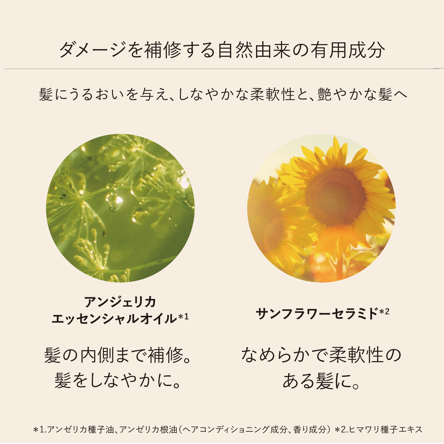 L&rsquo;OCCITANE「インテンシヴリペア ヘアオイル」|洗い流さないトリートメント|