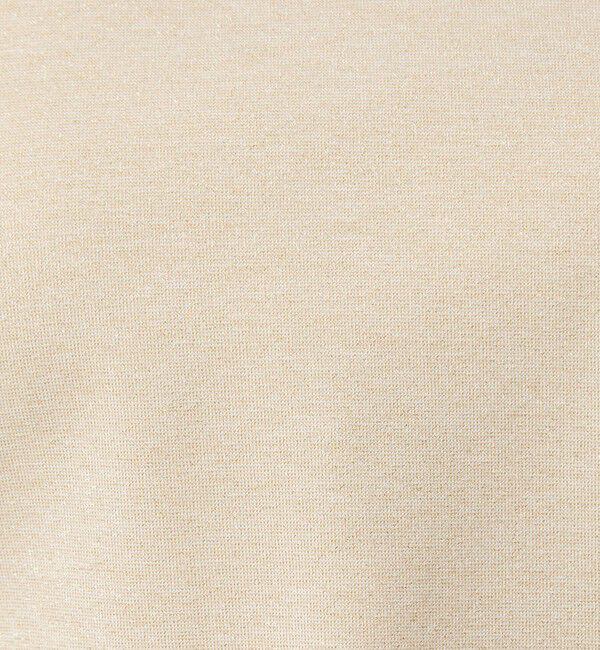 UNITED ARROWS green label relaxing「テンジク ラメ   ロングスリーブ カットソー」|Tシャツ・カットソー|