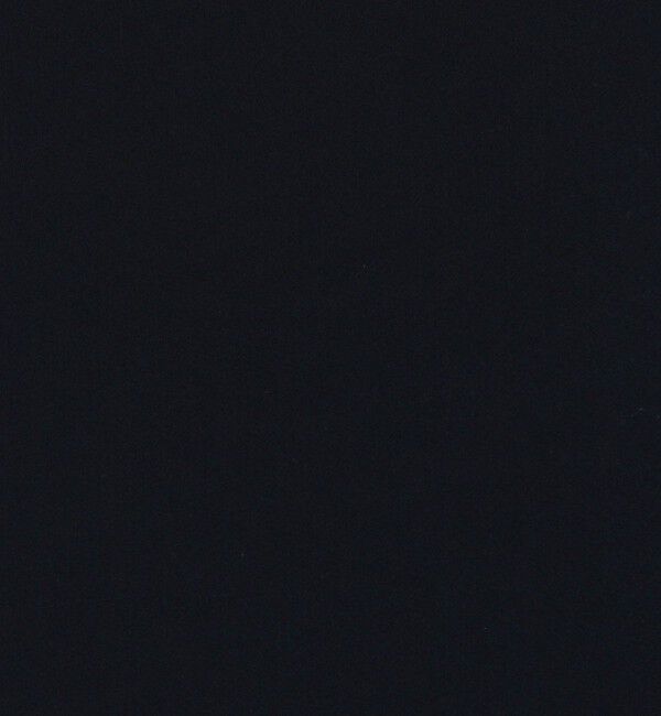 NOLLEY'S「オトナサテン半袖Tブラウス」|シャツ・ブラウス|