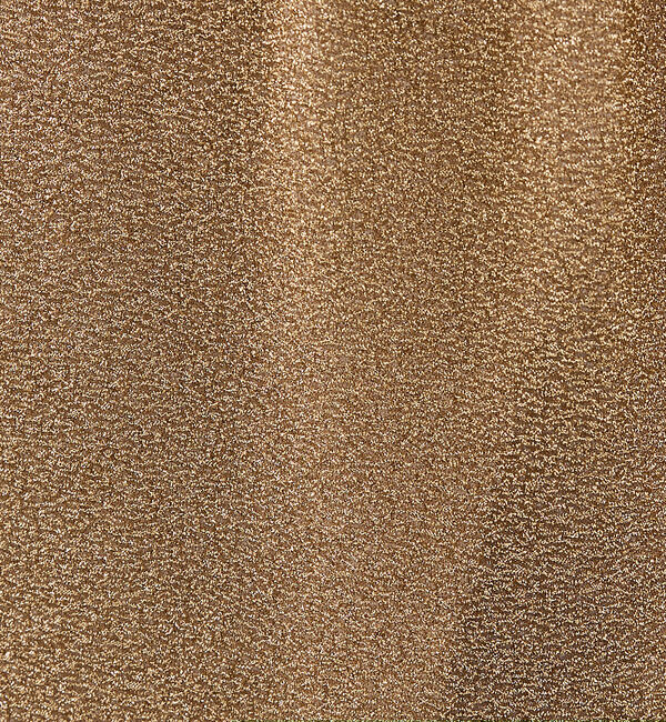 The Store by C' 「【COCUCA】ラメスカート」|スカート|