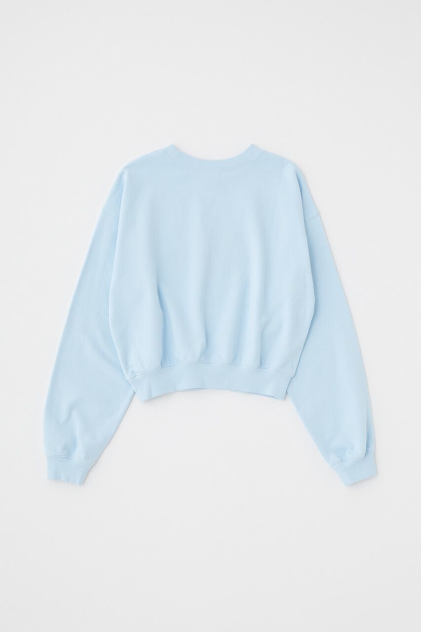 MOUSSY「LETTERED EMBROIDERY プルオーバー」|パーカー|