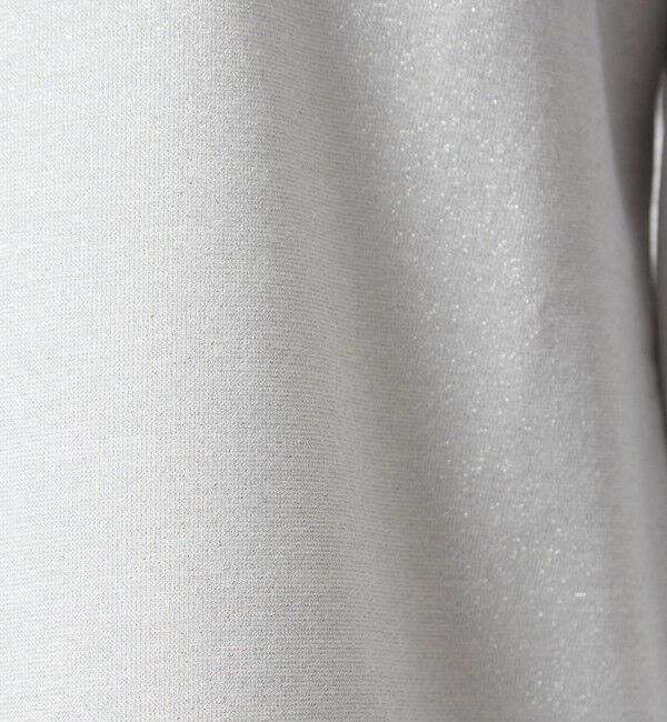 UNITED ARROWS green label relaxing「テンジク ラメ   ロングスリーブ カットソー」|Tシャツ・カットソー|