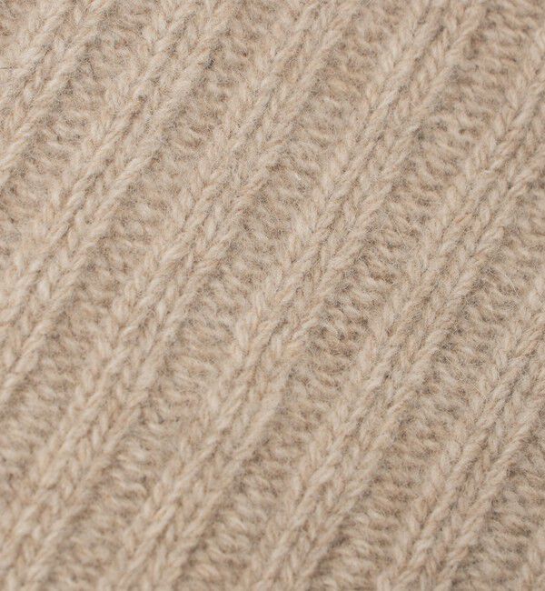 BEAUTY&YOUTH UNITED ARROWS「＜SANTACANA＞フィンガーレス グローブ」|手袋|