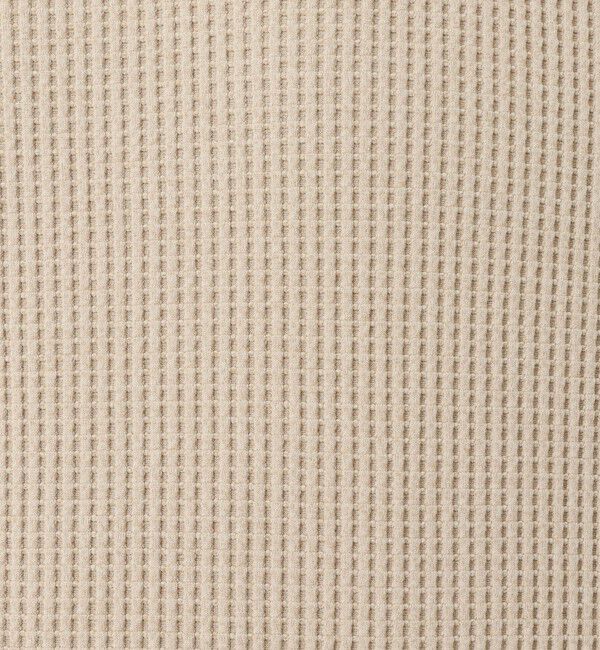 NOLLEY'S goodman「【IRM】《吸水速乾/UVカット》ワッフルフェイクレイヤードTee 25SS」|Tシャツ・カットソー|