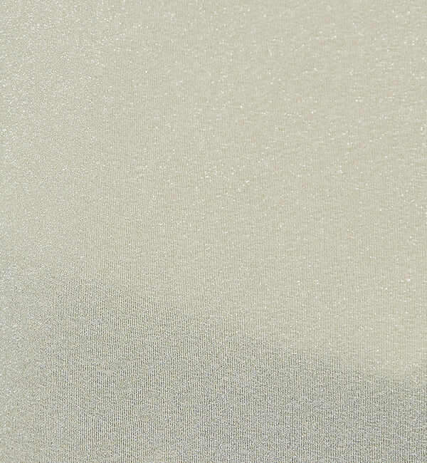 abahouse mavie「ラメメロウハイネックプルオーバー」|Tシャツ・カットソー|