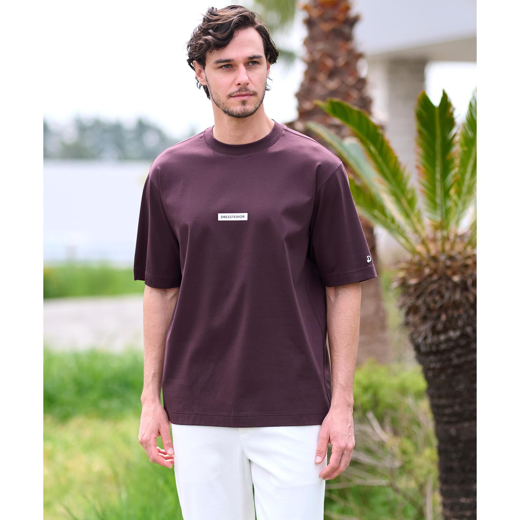 DRESSTERIOR「【接触冷感／抗菌防臭／消臭】ICE CLEAR COTTON NINEストリートTシャツ」|Tシャツ・カットソー|