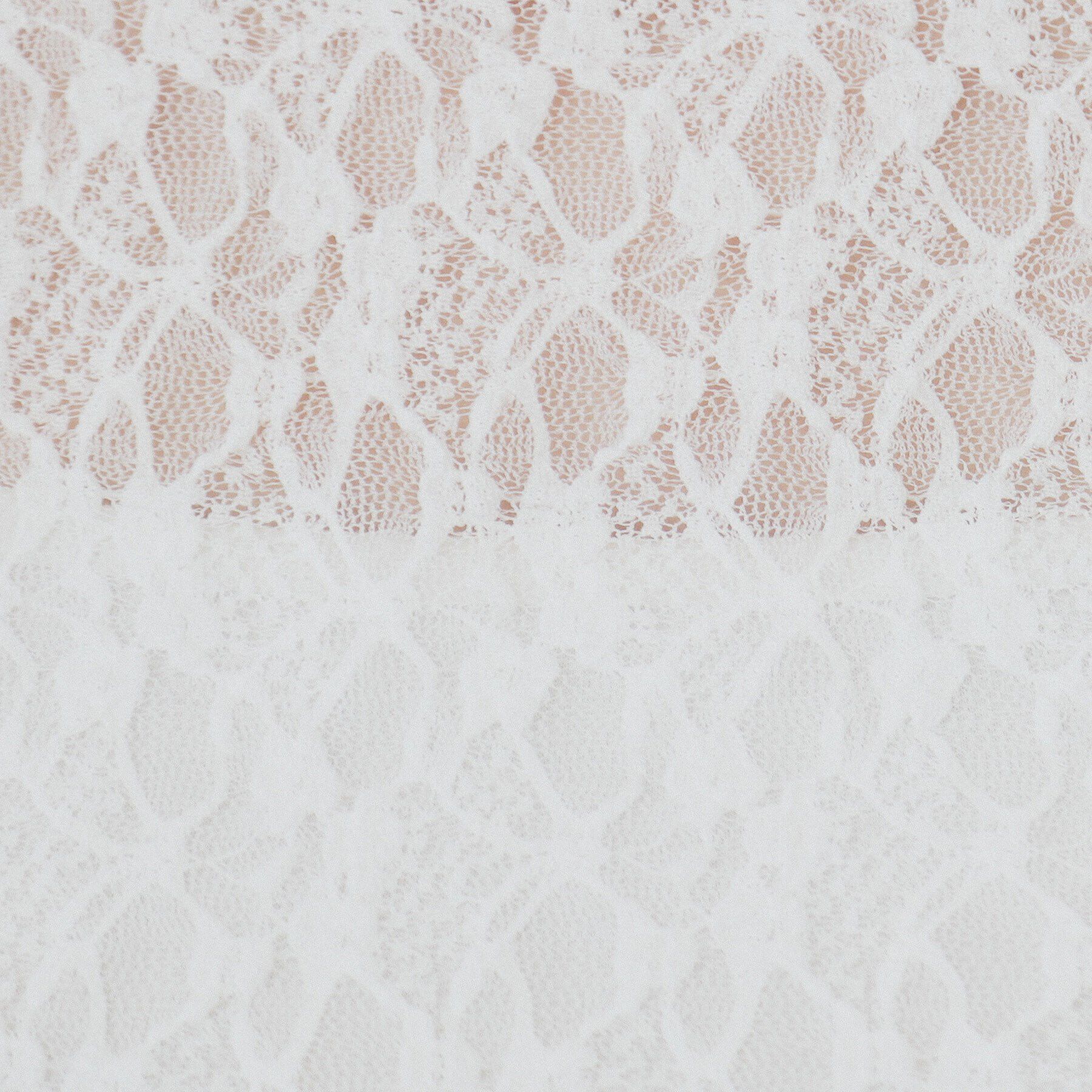 index「シアーフラワーストレッチトップス【洗濯機洗い可】」|Tシャツ・カットソー|