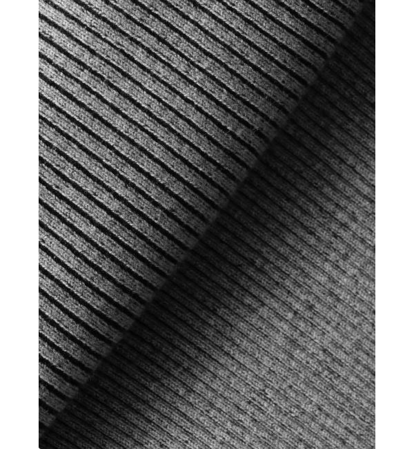 EMODA「プレーティングリブジップワンピース」|ワンピース|