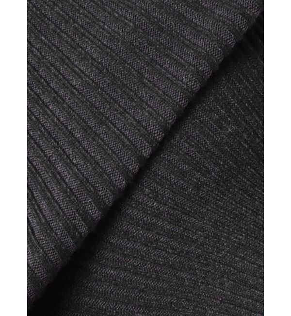 EMODA「プレーティングハーフリブジップニット」|ニット・セーター|