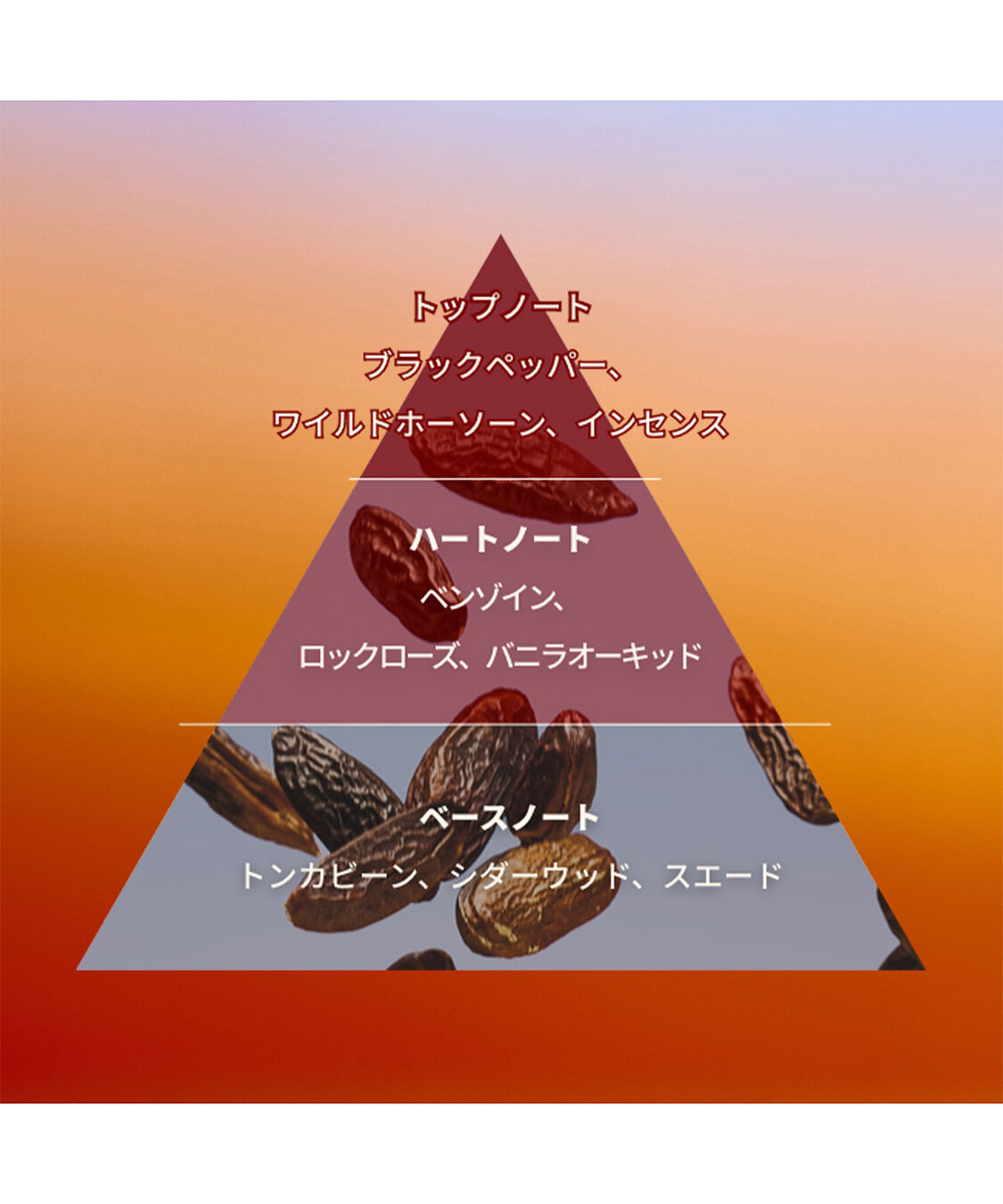 THE BODY SHOP「テンダー トンカ オードトワレ 50mL」|香水・フレグランス|