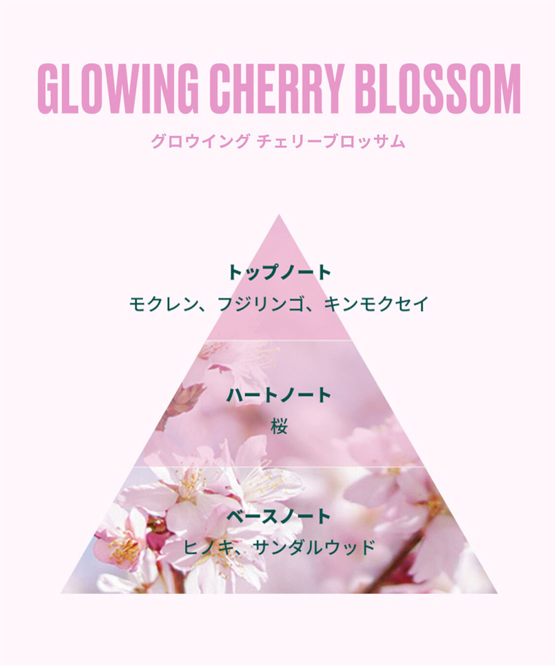 THE BODY SHOP「【数量限定】グロウイング チェリーブロッサム フレグランスミスト 100mL」|香水・フレグランス|