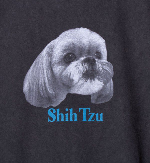 GLOSTER「【人気シリーズ】【DOG&CAT】犬猫ピグメント クルーネックロンT」|Tシャツ・カットソー|