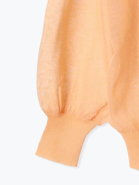 Te chichi「袖ボリュームシアーVネックカーディガン」|カーディガン|