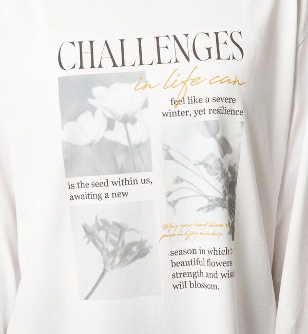 UNITED ARROWS green label relaxing「【WEB限定】＜at ease＞フォト ロングスリーブ Tシャツ」|Tシャツ・カットソー|