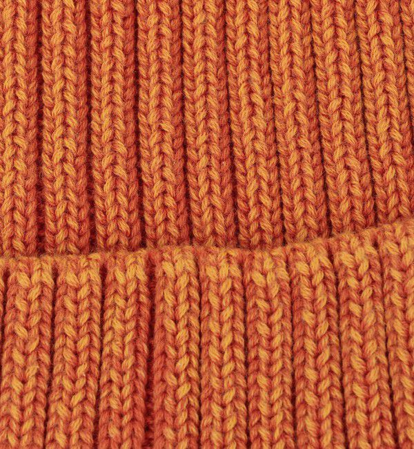 SHIPS「【WEB限定】SHIPS: ブリーチ オーバーフィット エンブロイダリー ワッチキャップ ニット帽」|ニット帽|