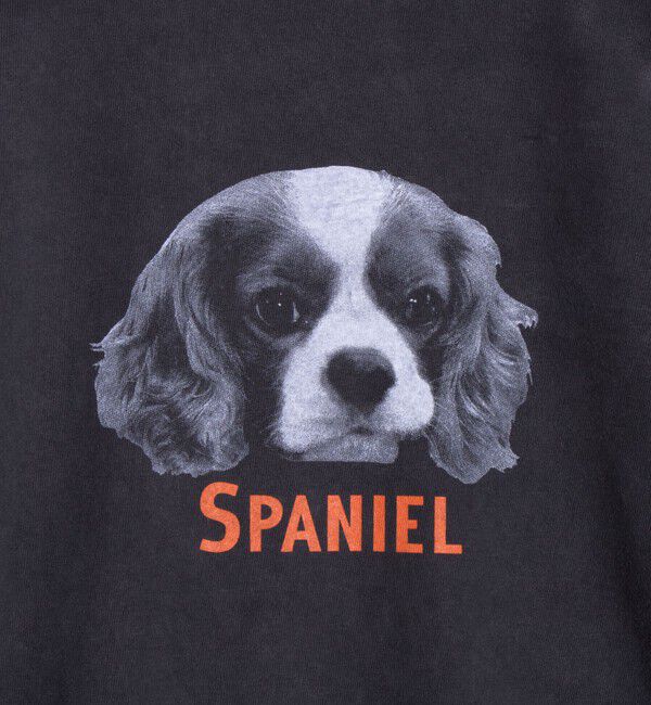 GLOSTER「【人気シリーズ】【DOG&CAT】犬猫ピグメント クルーネックロンT」|Tシャツ・カットソー|