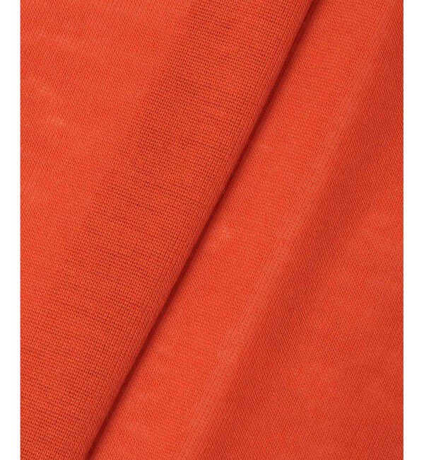 allureville「強撚シアーフライスプルオーバー」|Tシャツ・カットソー|