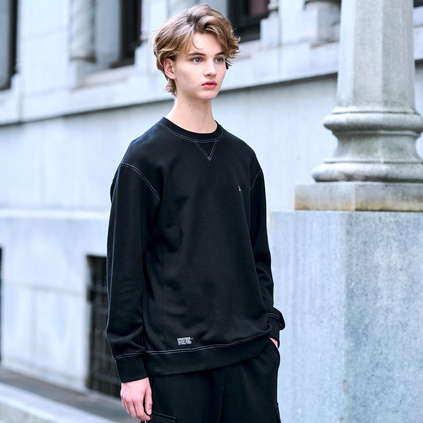 DRESSTERIOR「裏起毛 バック9プリントスウェット」|パーカー|