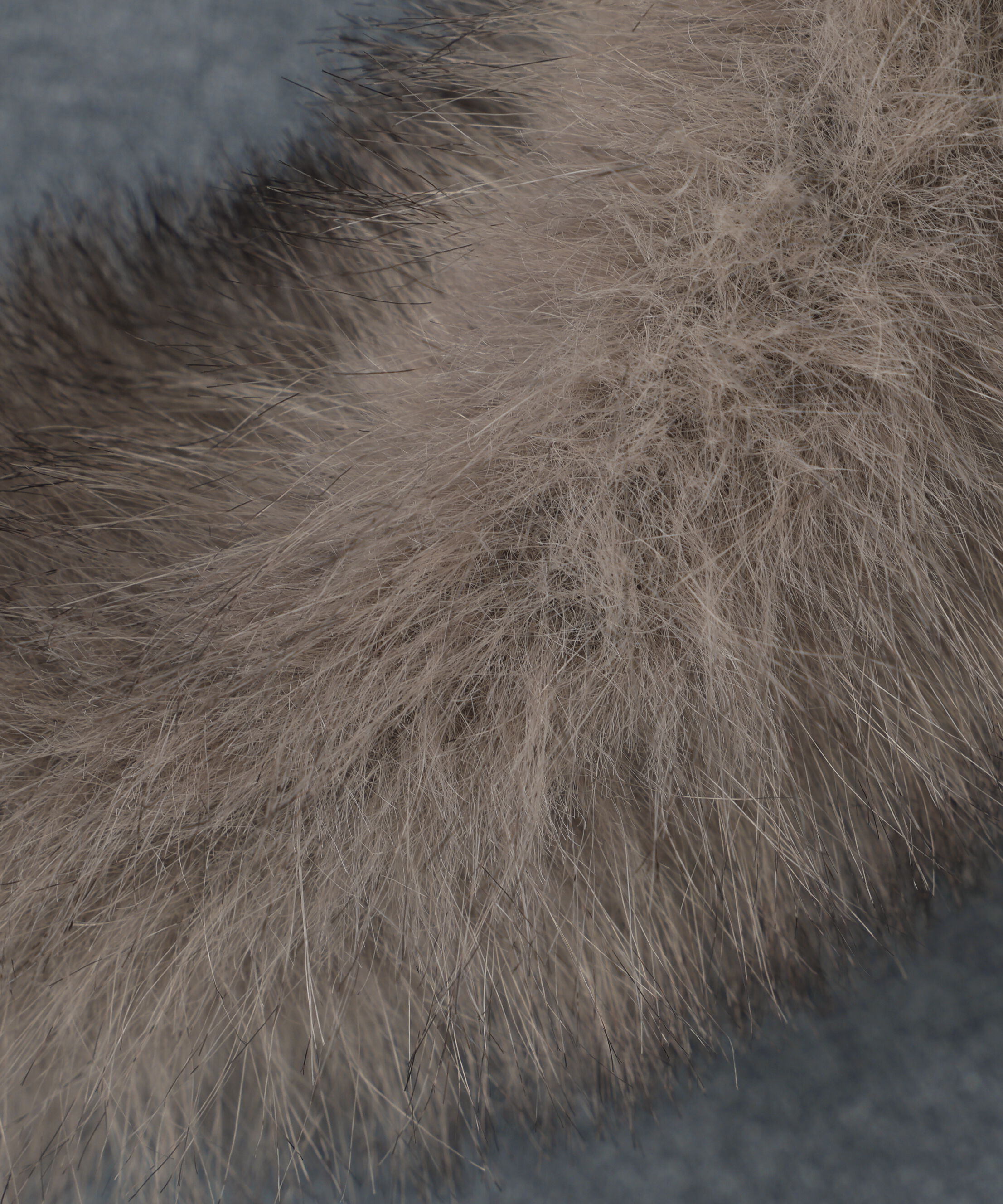 PROPORTION BODY DRESSING「エコファー付きニットパーカー 25AW」|ニット・セーター|