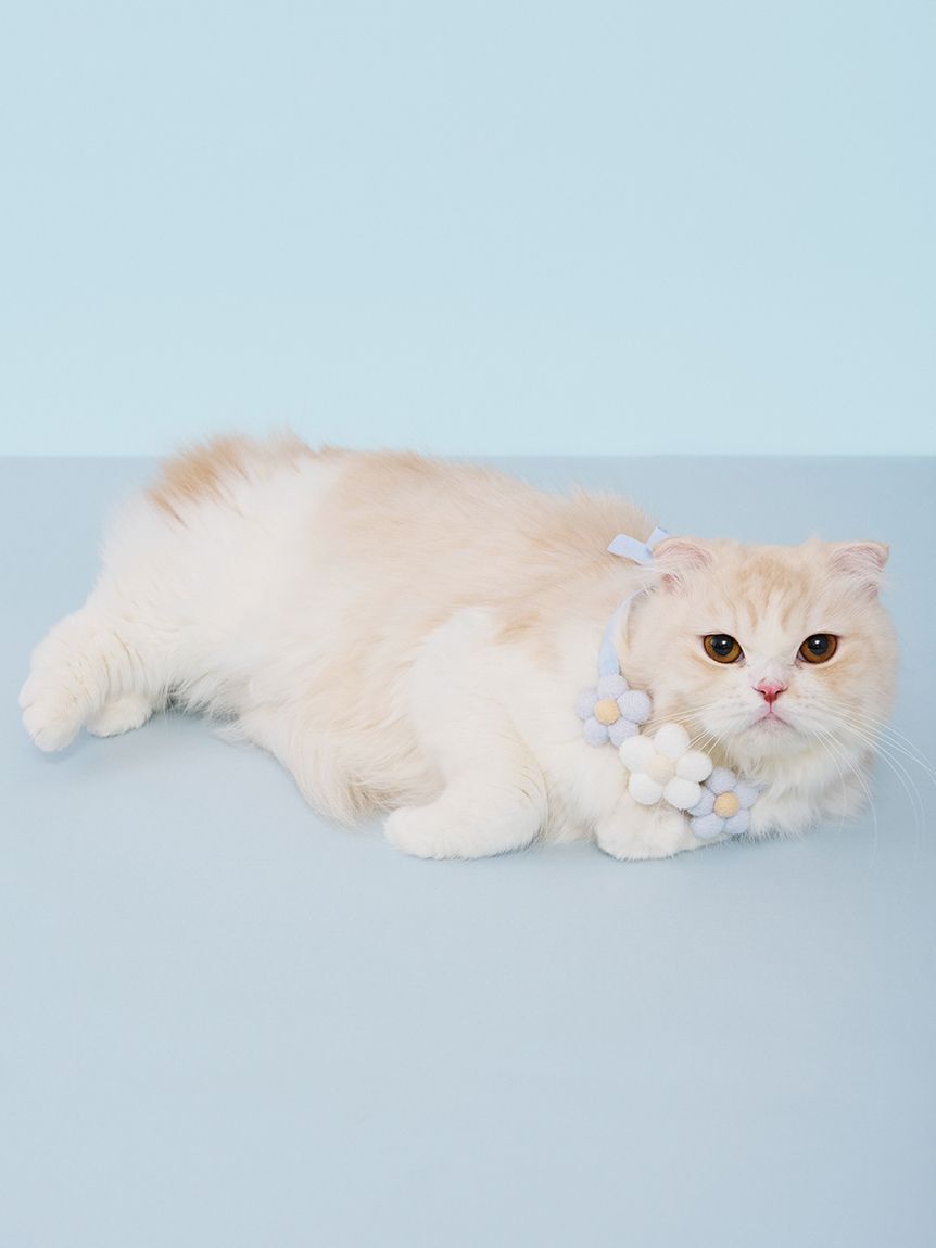  GELATO PIQUE CAT&DOG「【CAT&DOG】スムーズィーフラワーモチーフチョーカー」|その他|