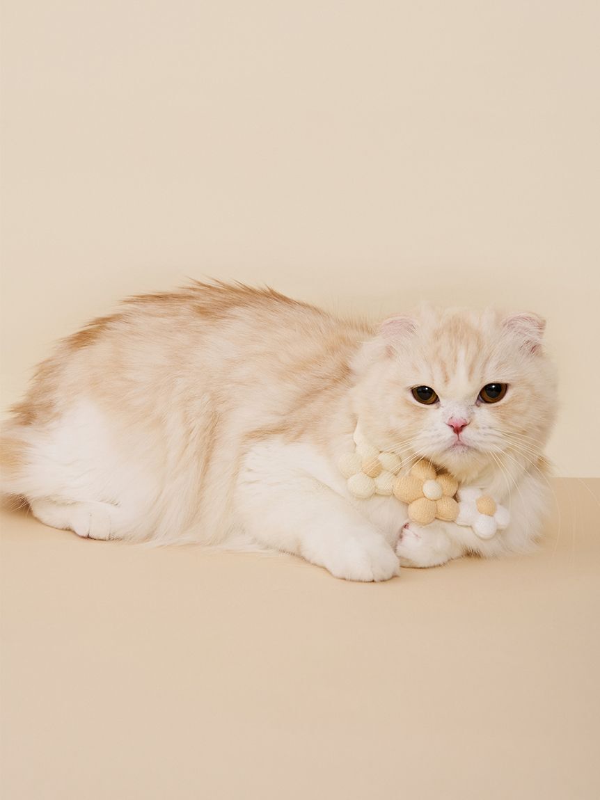  GELATO PIQUE CAT&DOG「【CAT&DOG】スムーズィーフラワーモチーフチョーカー」|その他|