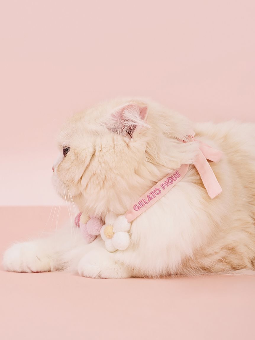  GELATO PIQUE CAT&DOG「【CAT&DOG】スムーズィーフラワーモチーフチョーカー」|その他|