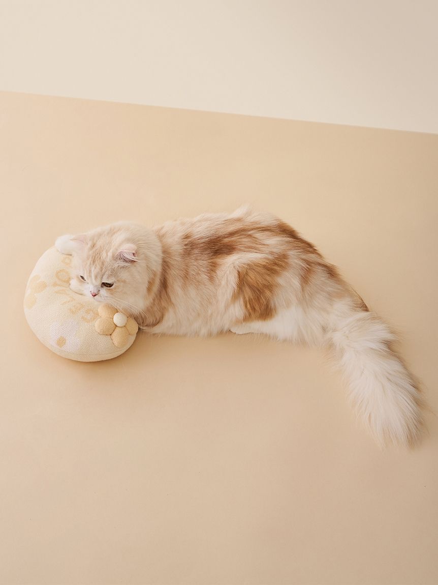  GELATO PIQUE CAT&DOG「【CAT&DOG】スムーズィーフラワーモチーフニットピロー」|その他|
