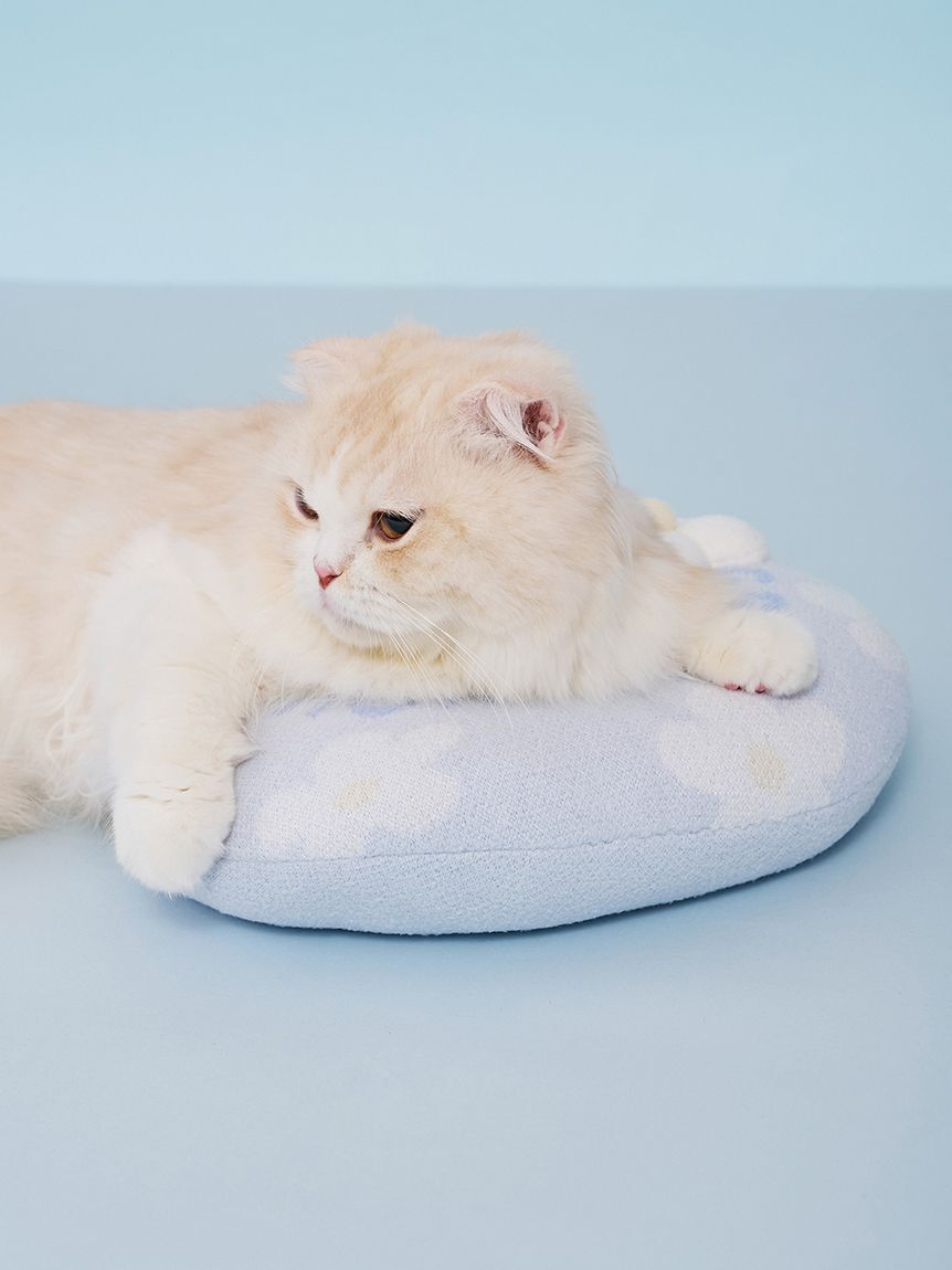  GELATO PIQUE CAT&DOG「【CAT&DOG】スムーズィーフラワーモチーフニットピロー」|その他|