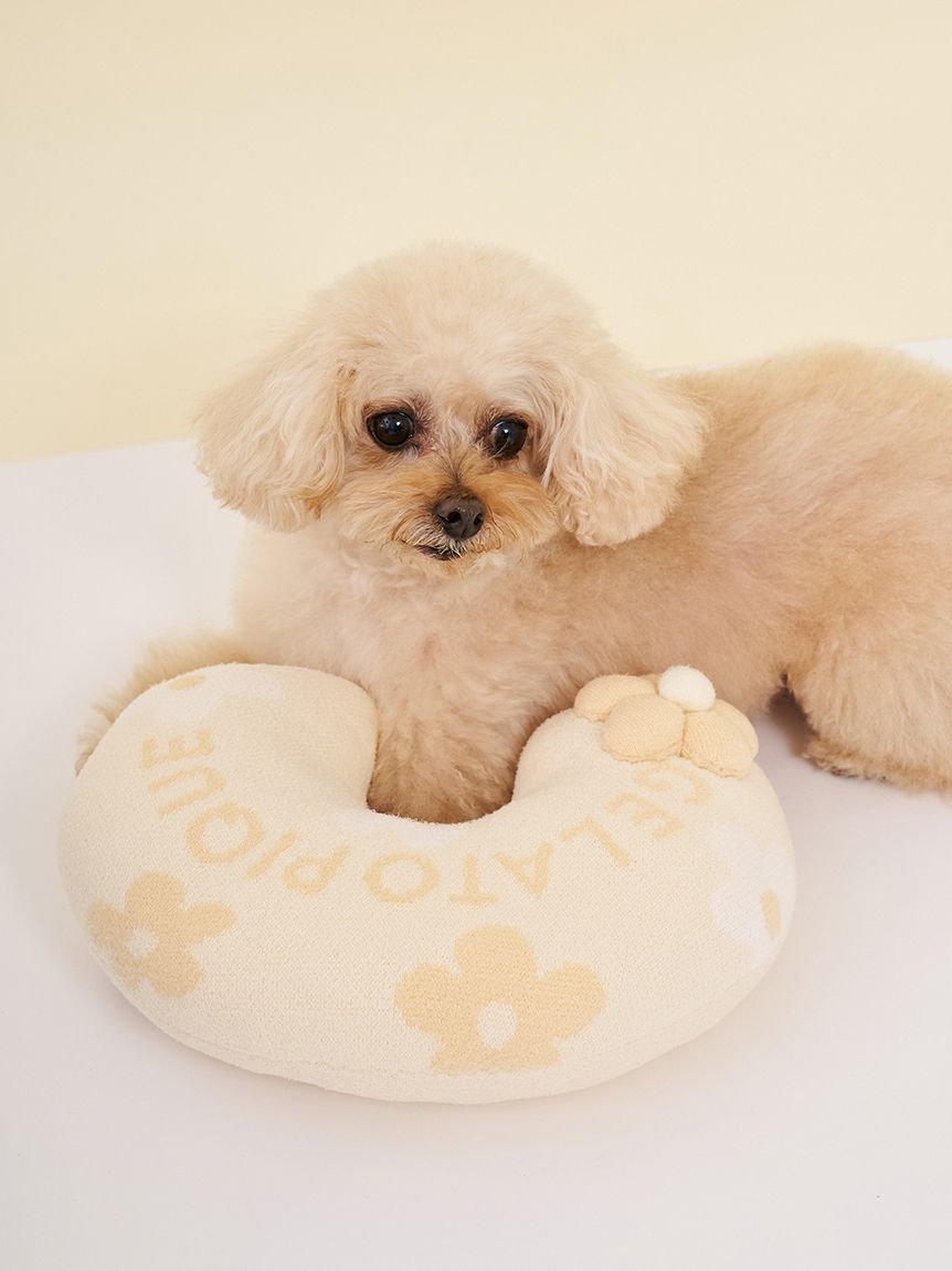  GELATO PIQUE CAT&DOG「【CAT&DOG】スムーズィーフラワーモチーフニットピロー」|その他|