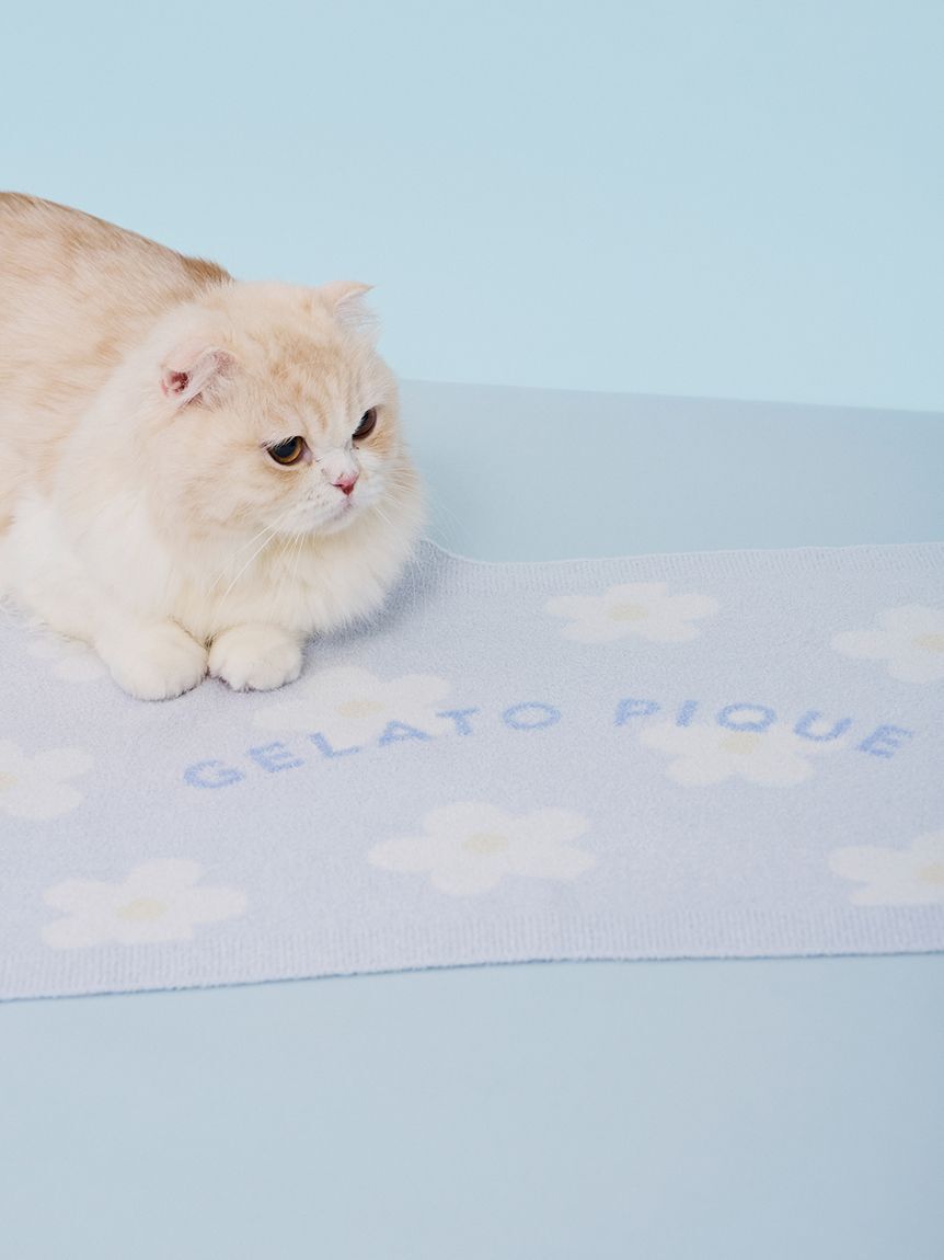  GELATO PIQUE CAT&DOG「【CAT&DOG】スムーズィーフラワージャガードブランケット」|その他|