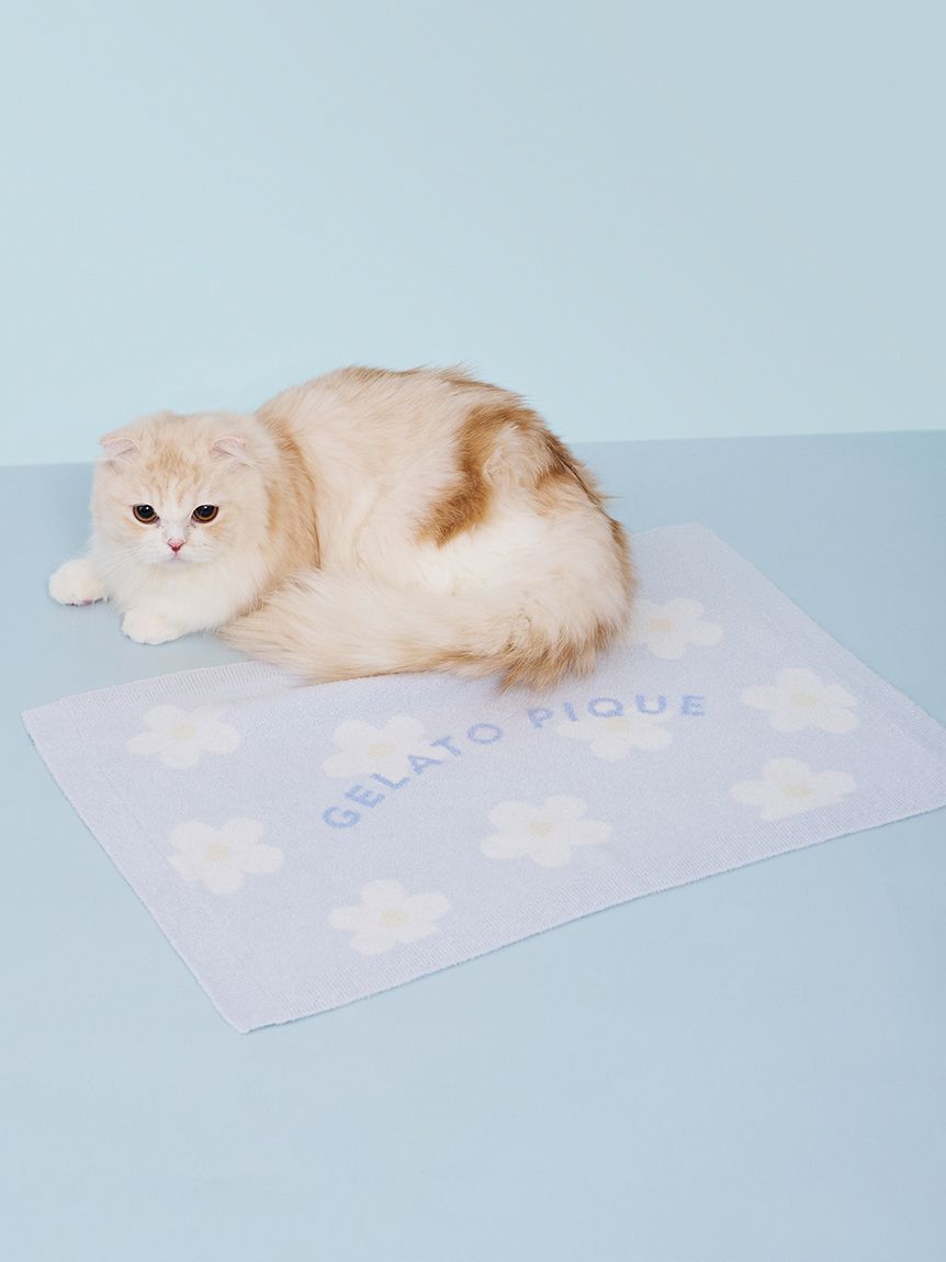  GELATO PIQUE CAT&DOG「【CAT&DOG】スムーズィーフラワージャガードブランケット」|その他|