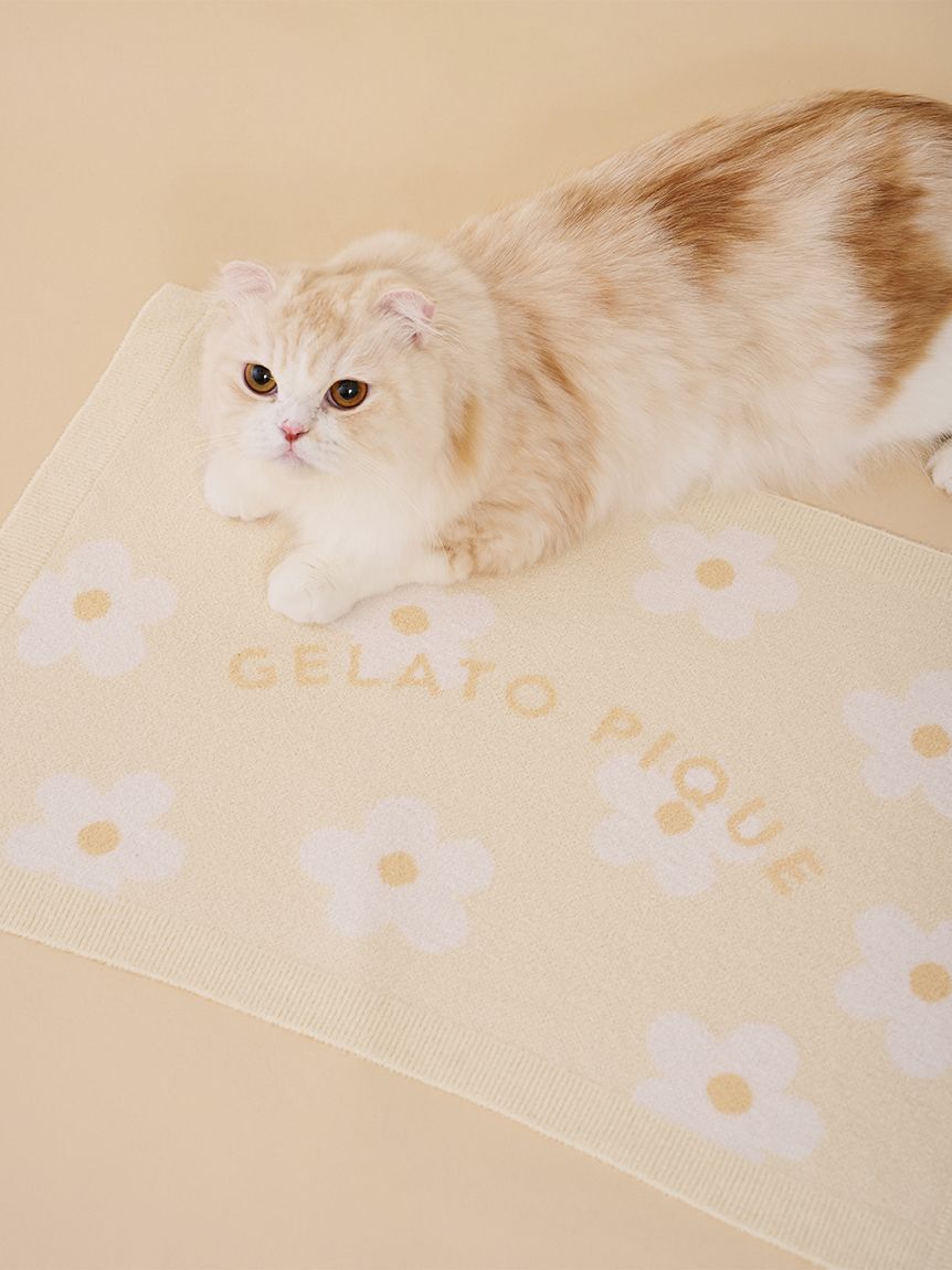  GELATO PIQUE CAT&DOG「【CAT&DOG】スムーズィーフラワージャガードブランケット」|その他|