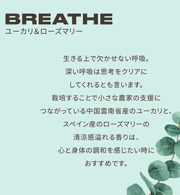 THE BODY SHOP「ブリーズ ディスカバリー」|キット・セット|