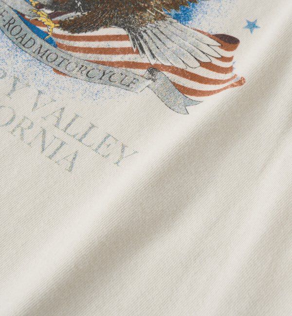  「【GOOD ROCK SPEED別注】EAGLEピグメントロンTee」|Tシャツ・カットソー|