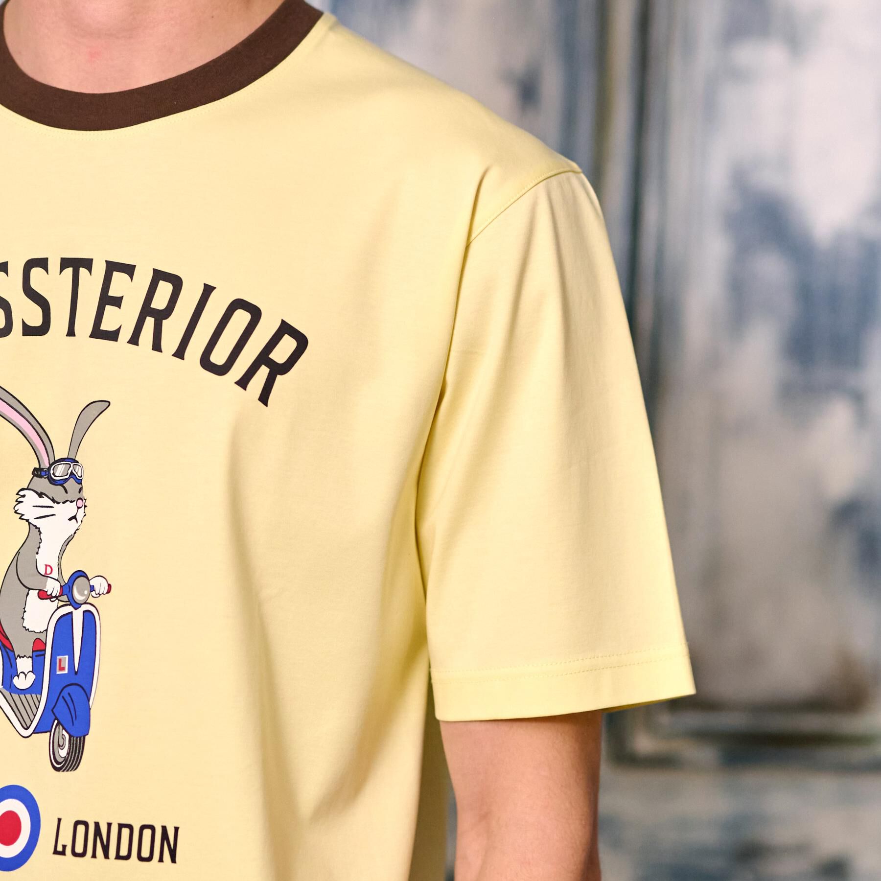 DRESSTERIOR「【接触冷感/抗菌防臭/消臭/Safari5月号掲載】ICE CLEAR COTTON ロンドンラビッ」|Tシャツ・カットソー|