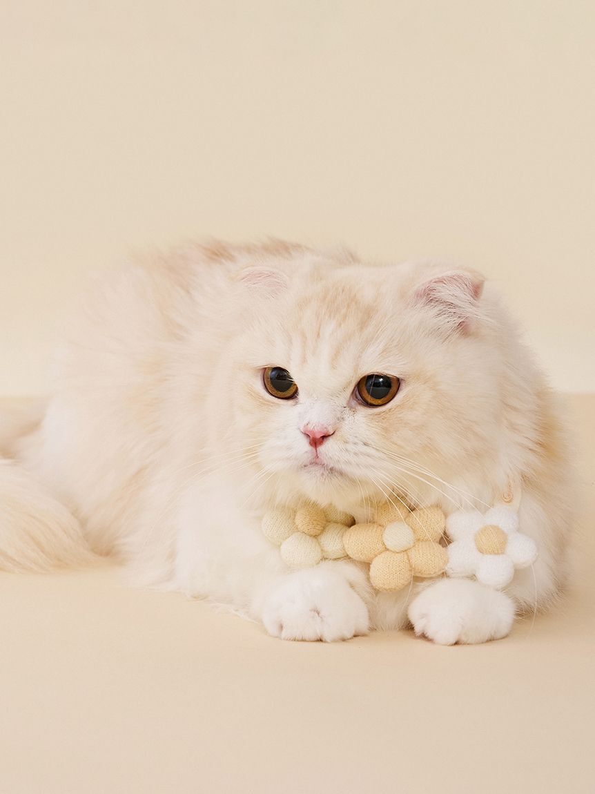  GELATO PIQUE CAT&DOG「【CAT&DOG】スムーズィーフラワーモチーフチョーカー」|その他|YEL