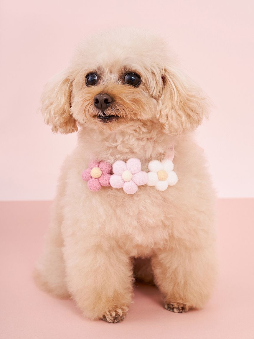  GELATO PIQUE CAT&DOG「【CAT&DOG】スムーズィーフラワーモチーフチョーカー」|その他|