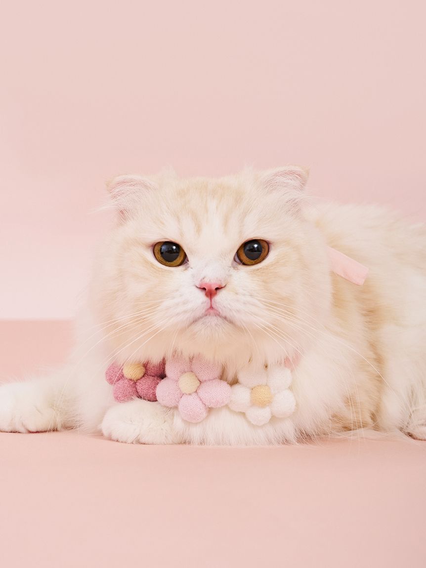  GELATO PIQUE CAT&DOG「【CAT&DOG】スムーズィーフラワーモチーフチョーカー」|その他|PNK