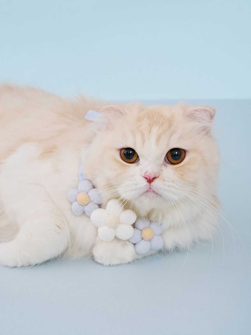  GELATO PIQUE CAT&DOG「【CAT&DOG】スムーズィーフラワーモチーフチョーカー」|その他|BLU