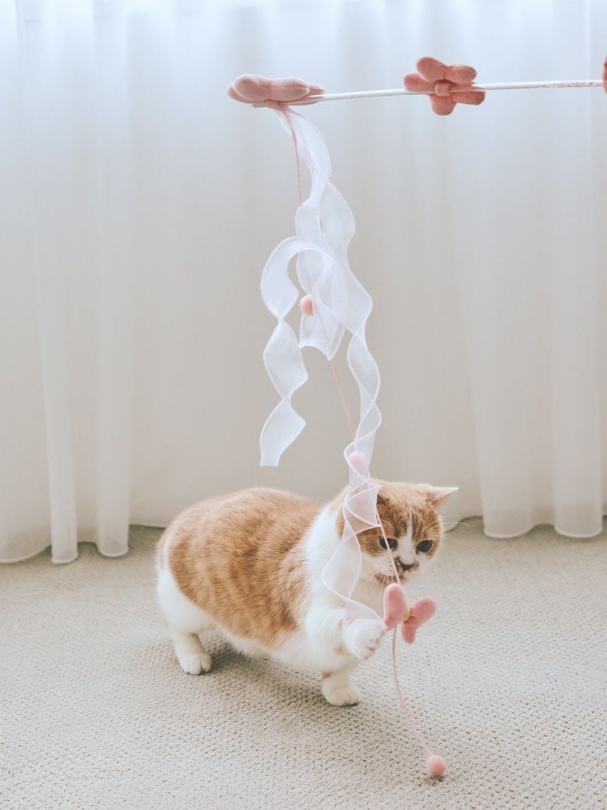  GELATO PIQUE CAT&DOG「【CAT&DOG】フラワーモチーフねこじゃらし」|その他|