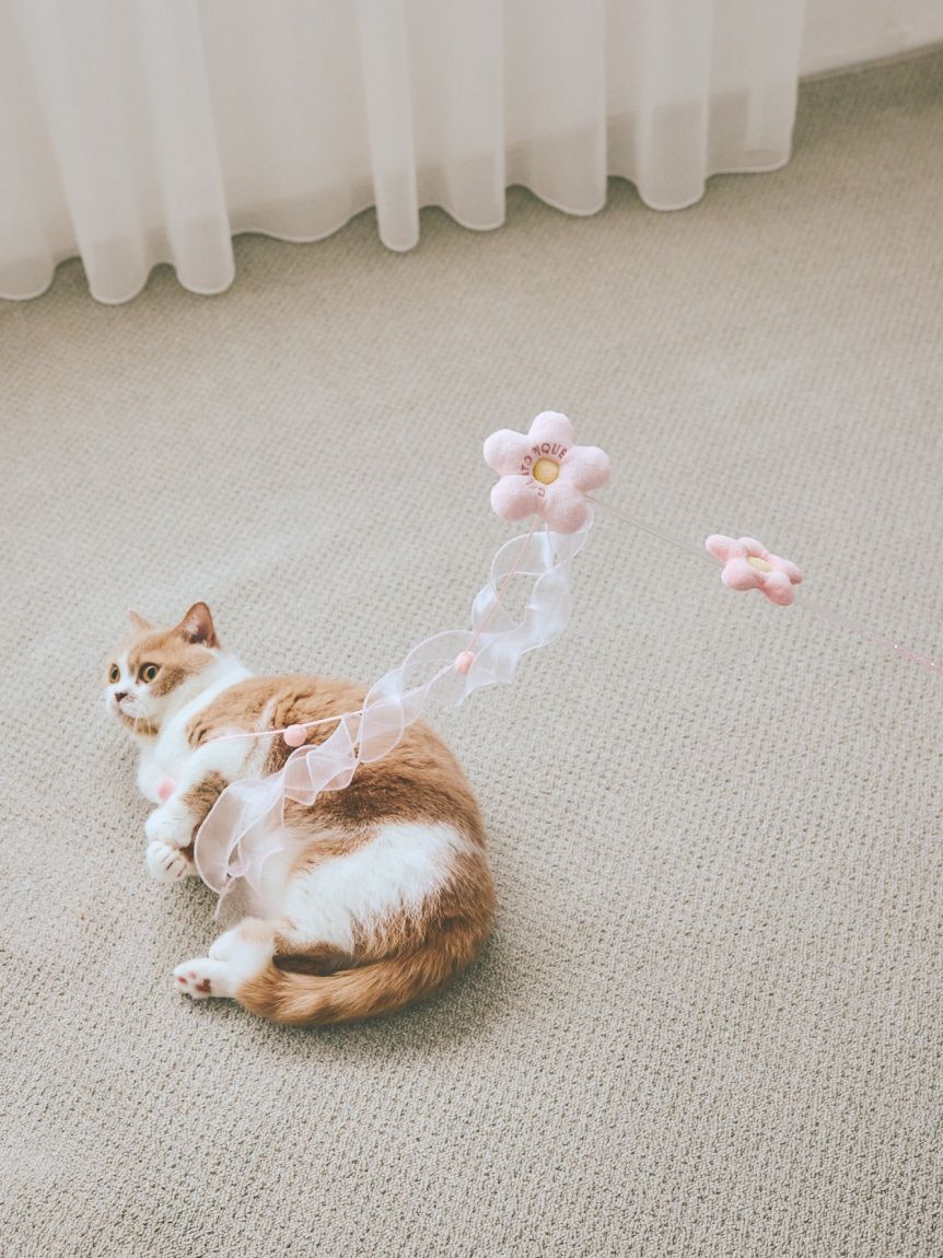  GELATO PIQUE CAT&DOG「【CAT&DOG】フラワーモチーフねこじゃらし」|その他|