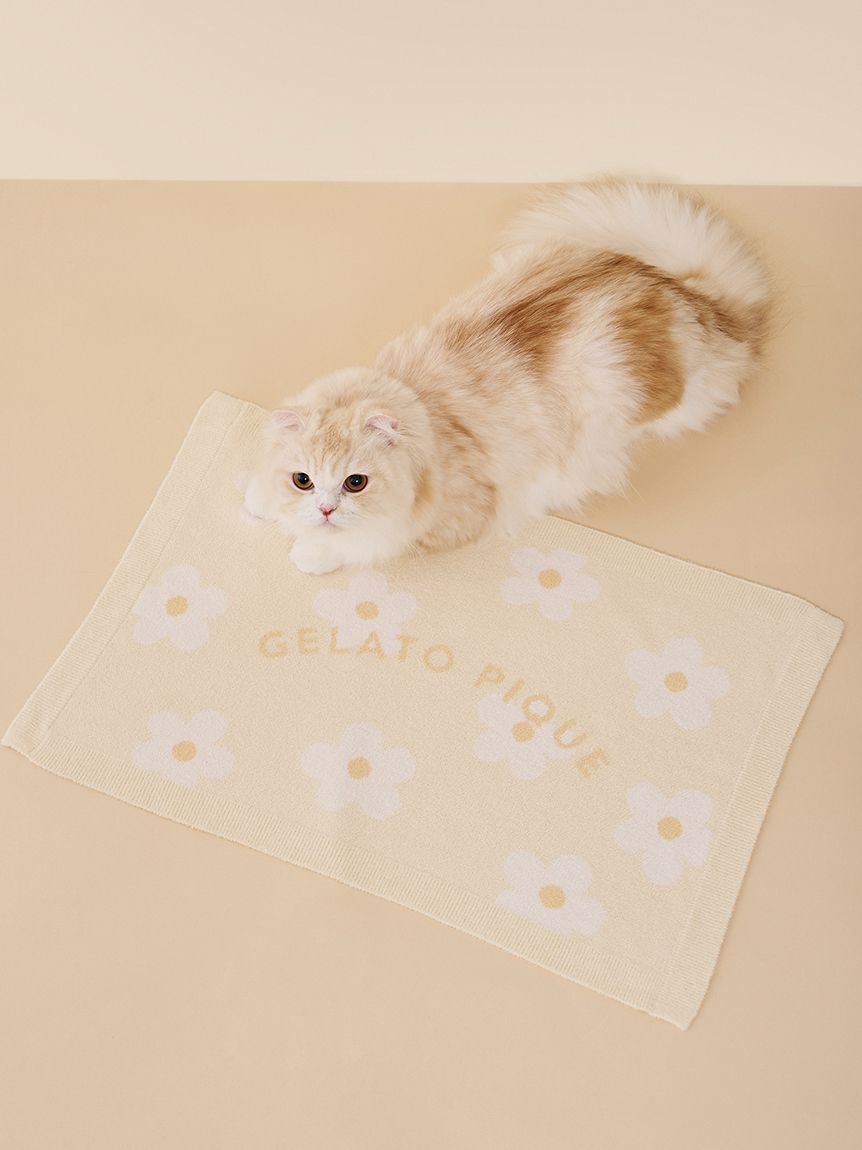  GELATO PIQUE CAT&DOG「【CAT&DOG】スムーズィーフラワージャガードブランケット」|その他|YEL